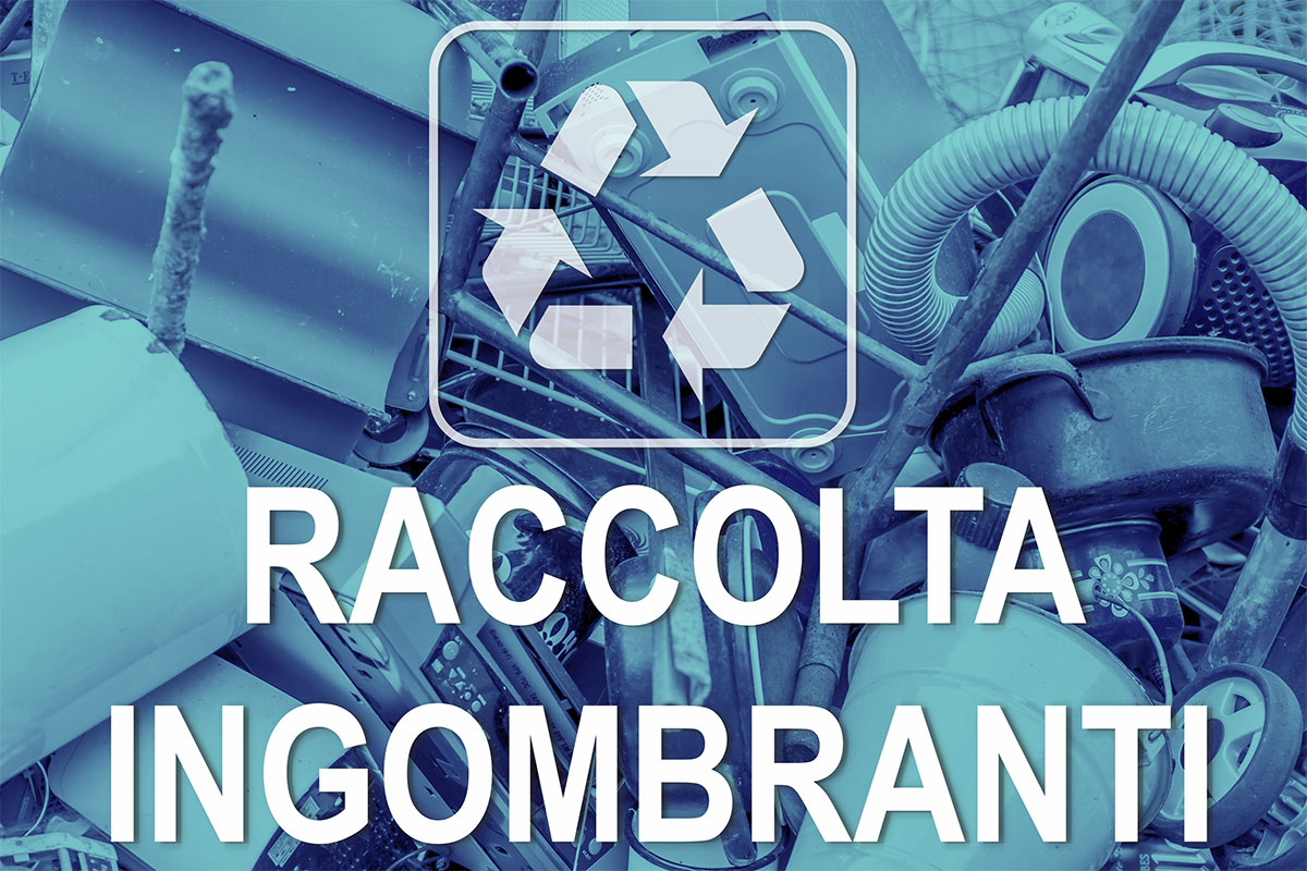 RACCOLTA INGOBRANTI