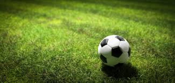  Avviso esplorativo per l'acquisizione di manifestazione d'interesse gestione In concessione dell'Impianto sportivo comunale  
